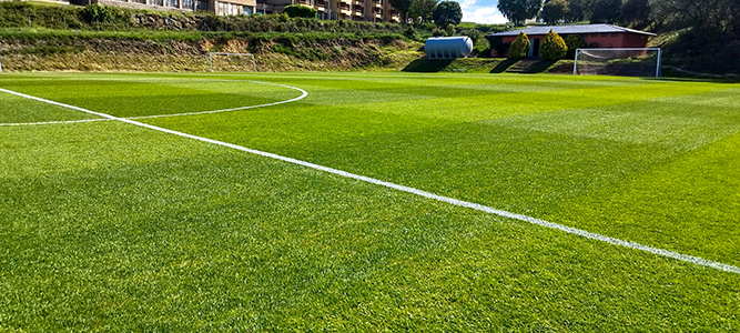 487_alta_montanya Campo Futbol Natural.jpeg